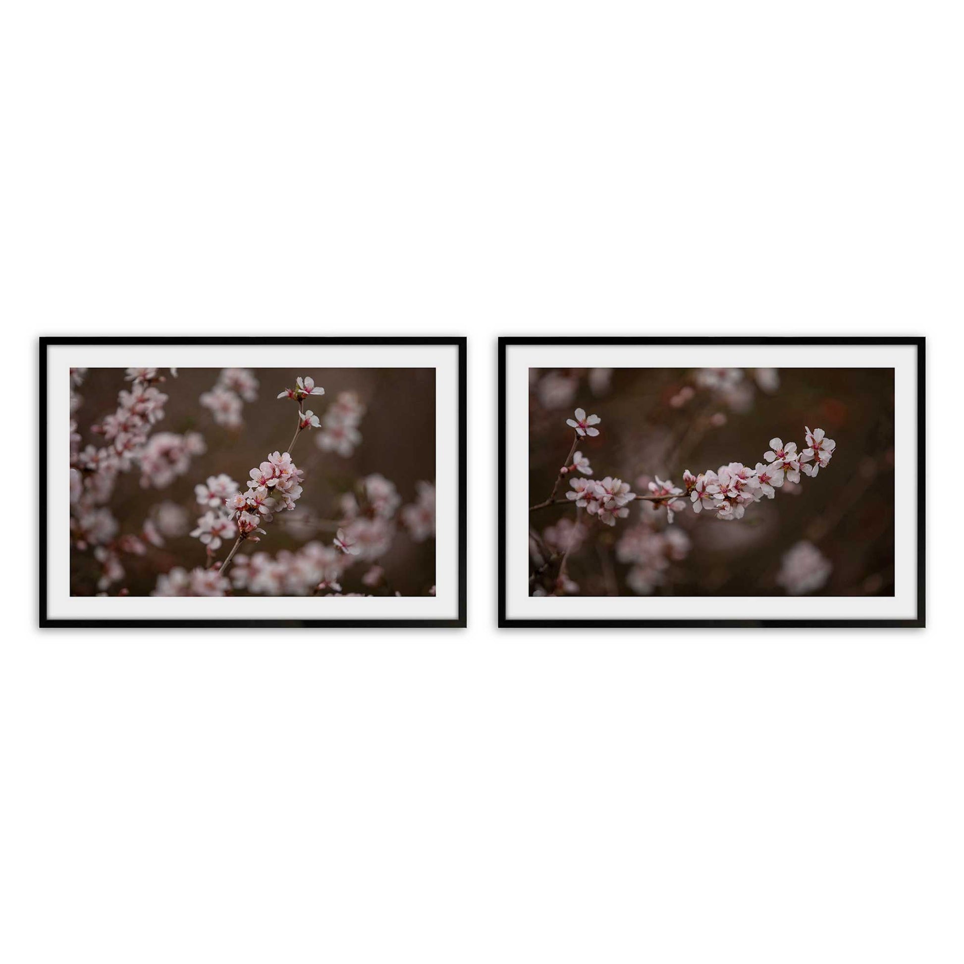 [Color:Satin Black], Picture of art in a Satin Black frame