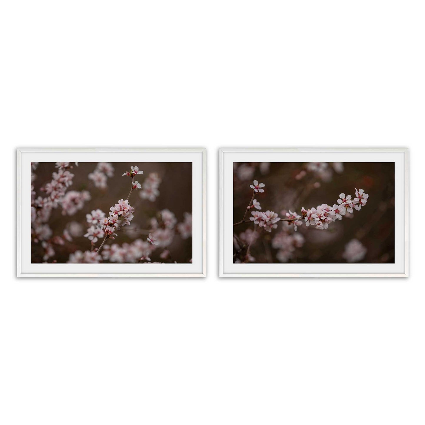 [Color:Opaque White], Picture of art in a Opaque White frame