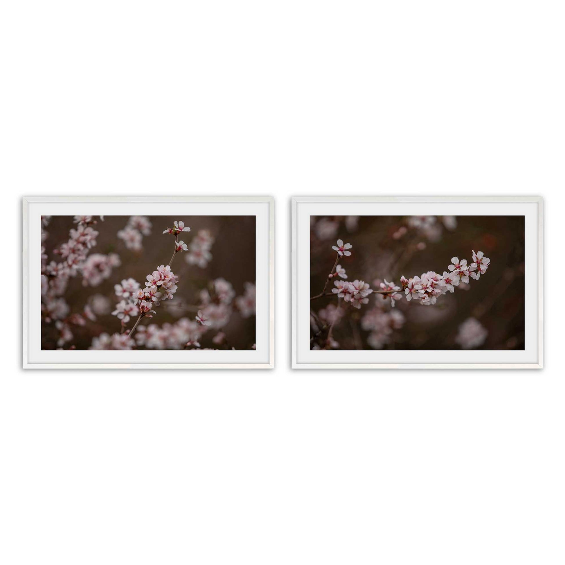 [Color:Opaque White], Picture of art in a Opaque White frame