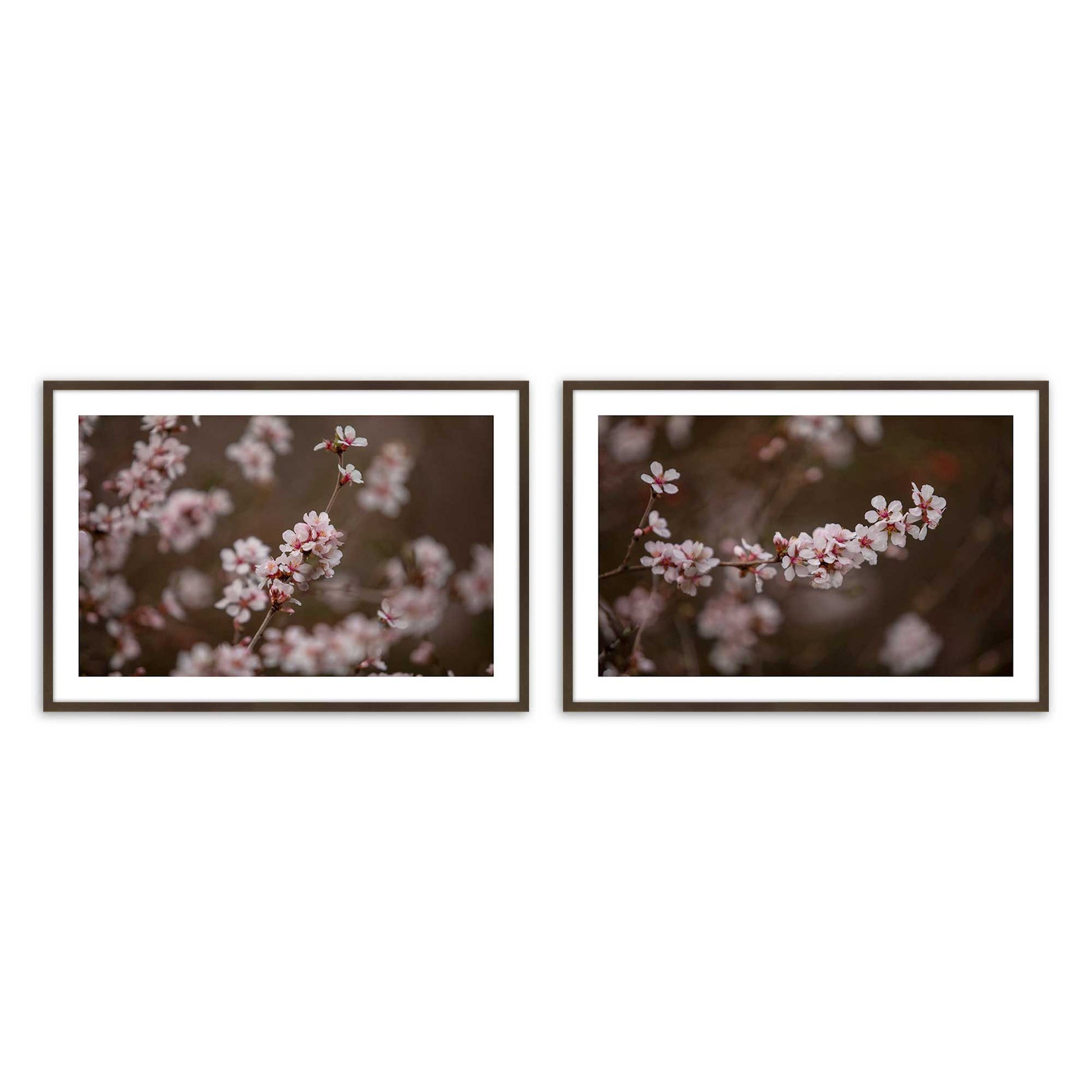 [Color:Belvinder Brown], Picture of art in a Belvinder Brown frame