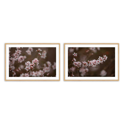 [Color:American Maple], Picture of art in a American Maple frame