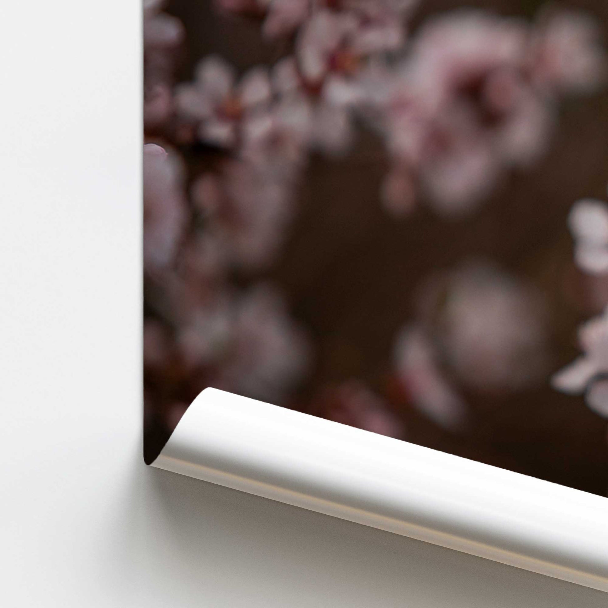 [color:Rolled Print], Picture of close up of art