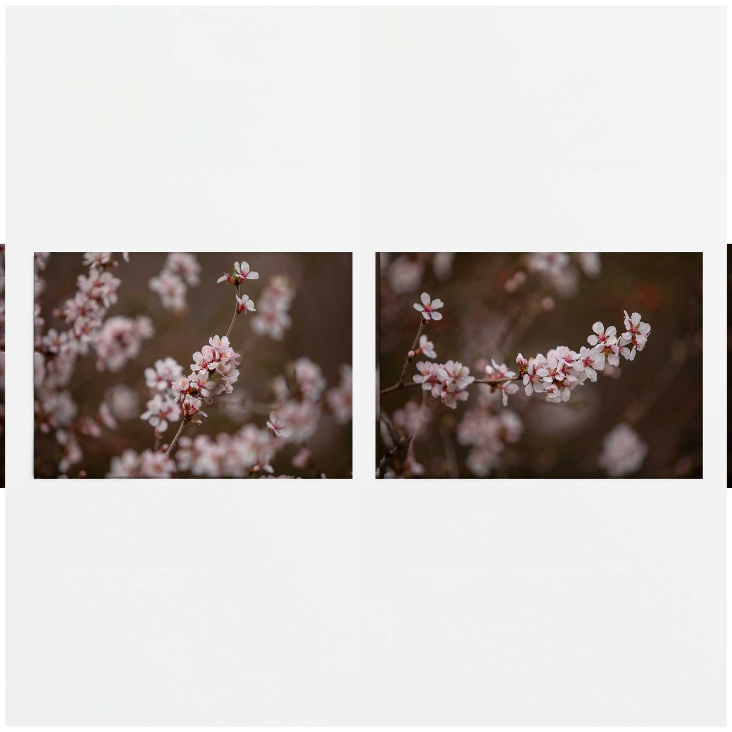 [color:Rolled Print], Picture of close up of art