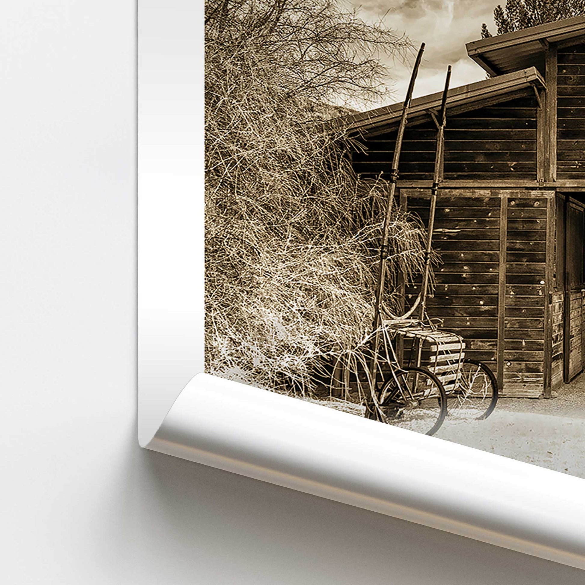 [color:Rolled Print], Picture of close up of art