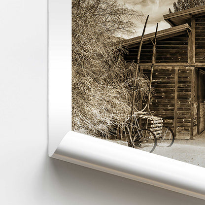 [color:Rolled Print], Picture of close up of art