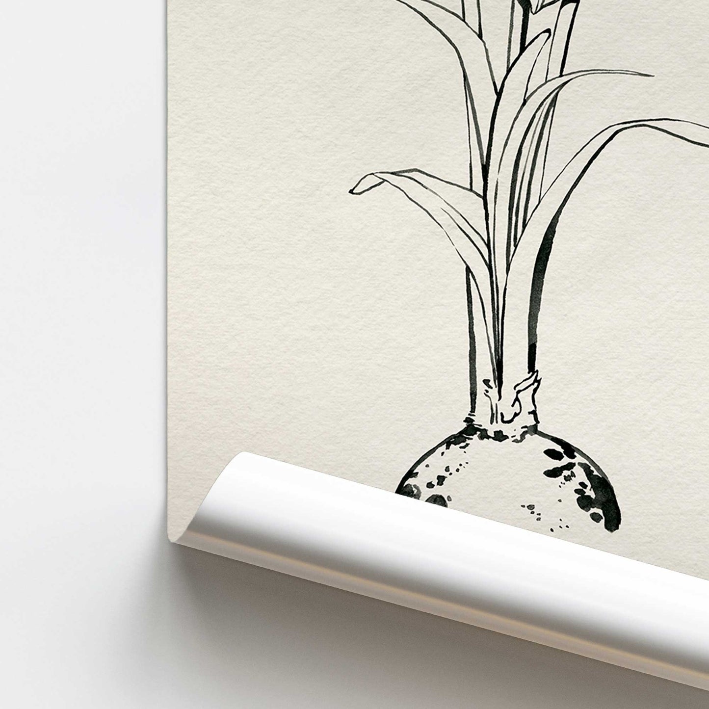 [color:Rolled Print], Picture of close up of art