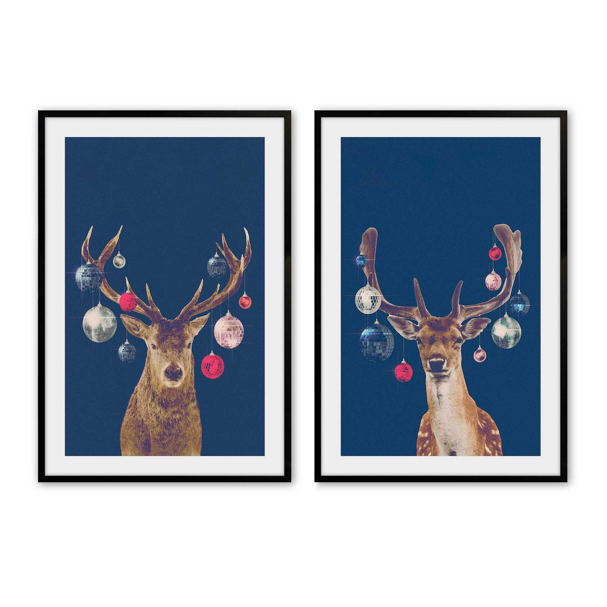 [Color:Satin Black],