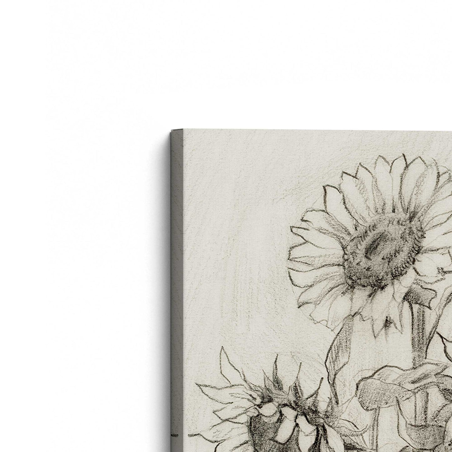 [Color:Stretched Canvas], Picture of the corner of the art