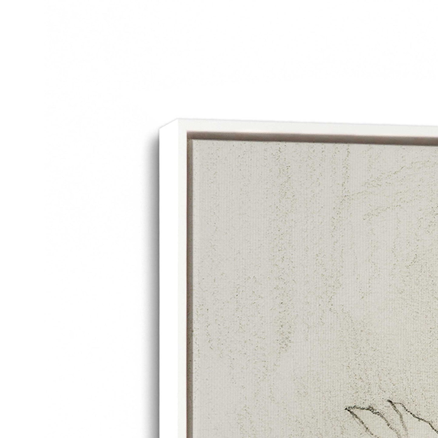 [Color:Opaque White], Picture of art in a White frame at an angle