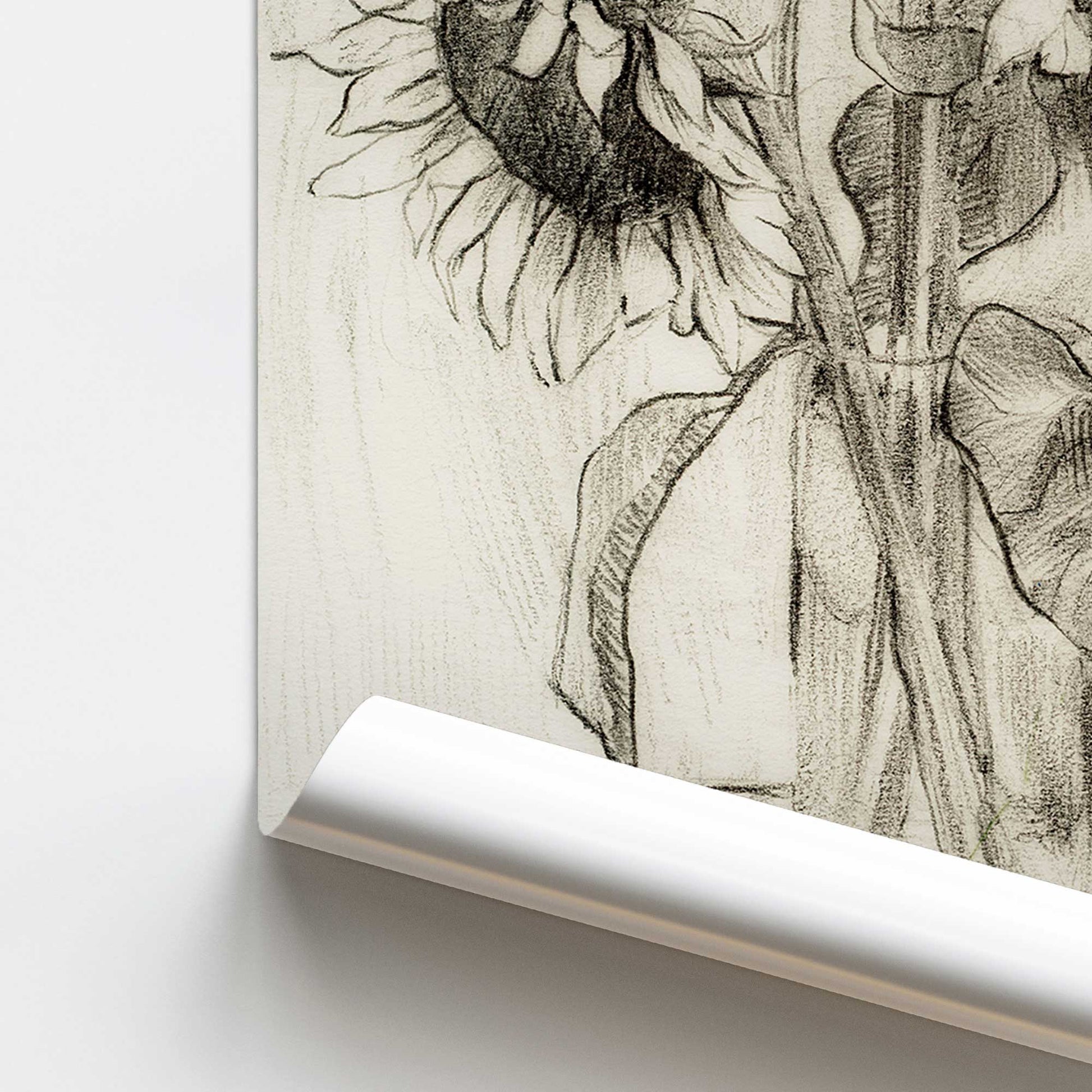 [color:Rolled Print], Picture of close up of art