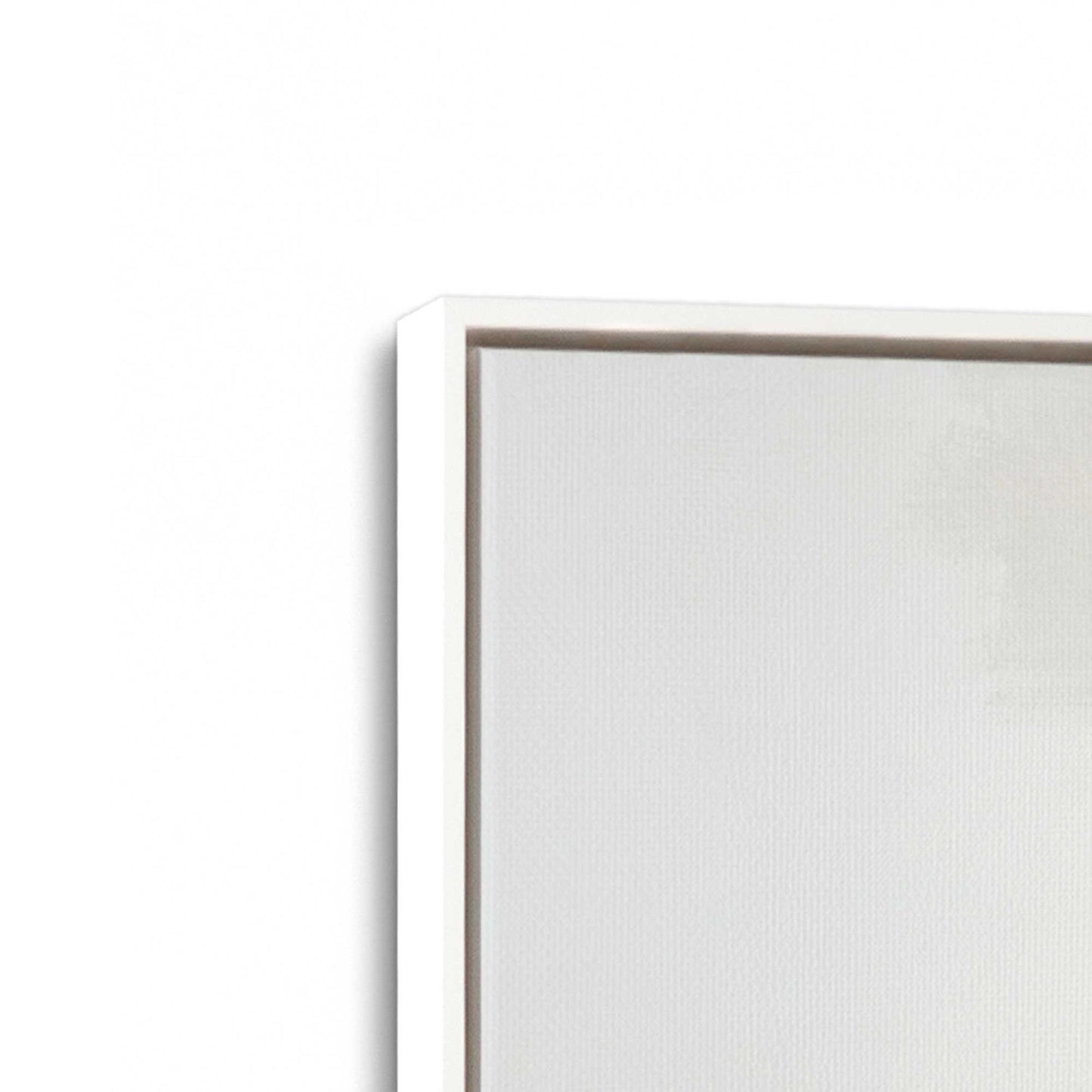 [Color:Opaque White], Picture of art in a White frame at an angle