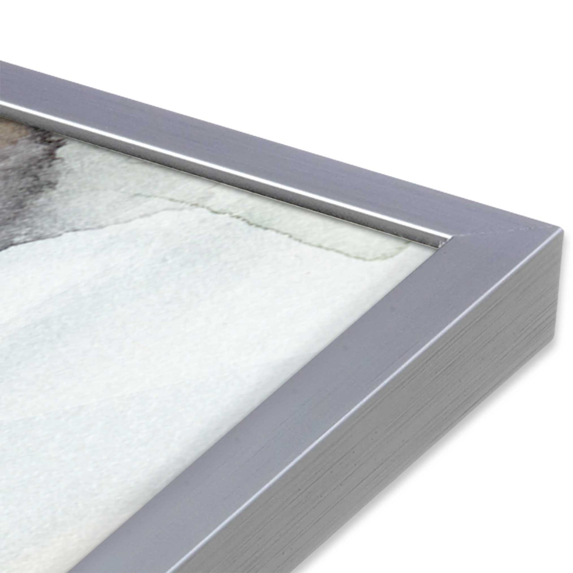 [Color:Polished Chrome], Picture of art in a Polished Chrome frame of the corner