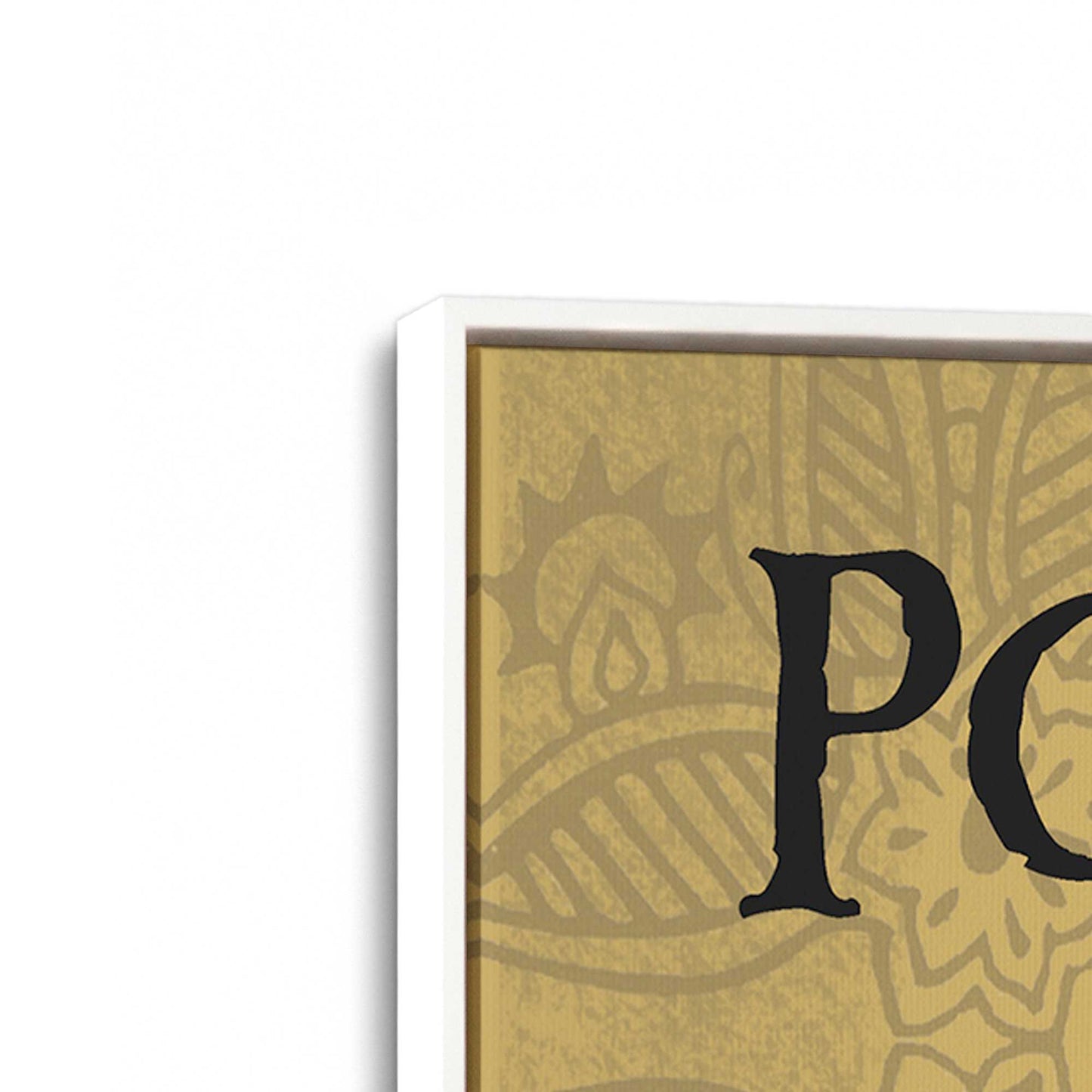 [Color:Opaque White], Picture of art in a White frame at an angle