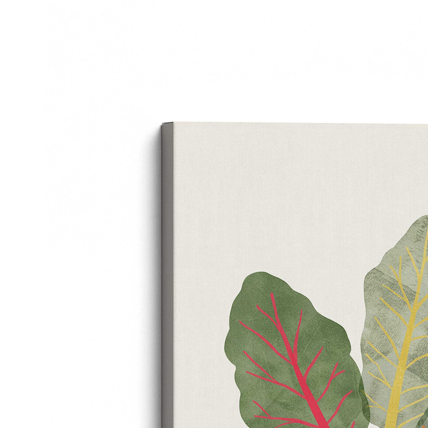 [Color:Stretched Canvas], Picture of the corner of the art