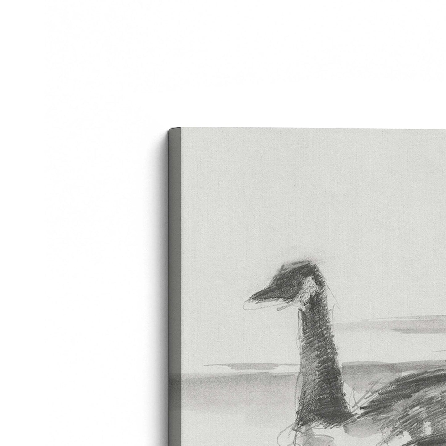 [Color:Stretched Canvas], Picture of the corner of the art