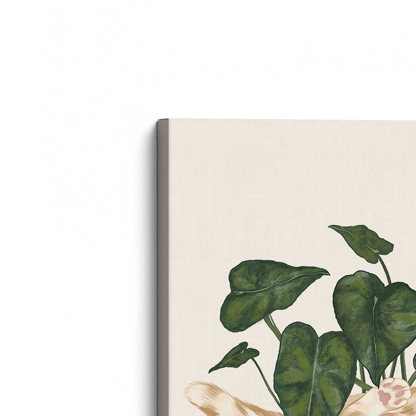 [Color:Stretched Canvas], Picture of the corner of the art