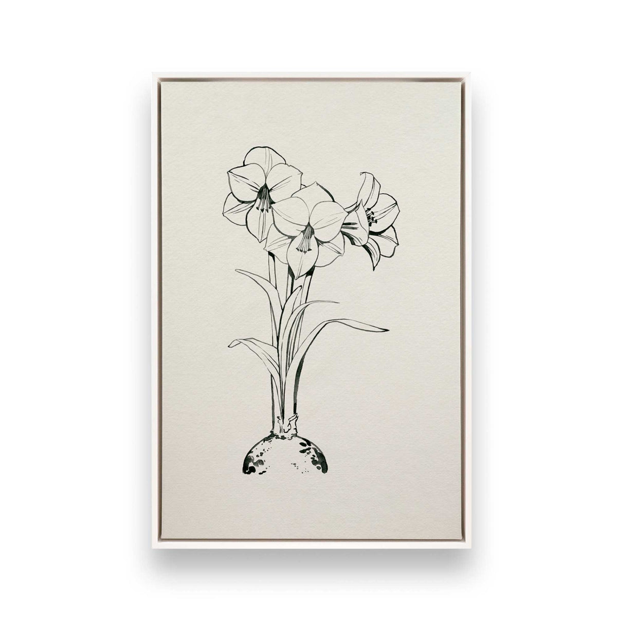 [Color:Opaque White], Picture of art in a White frame