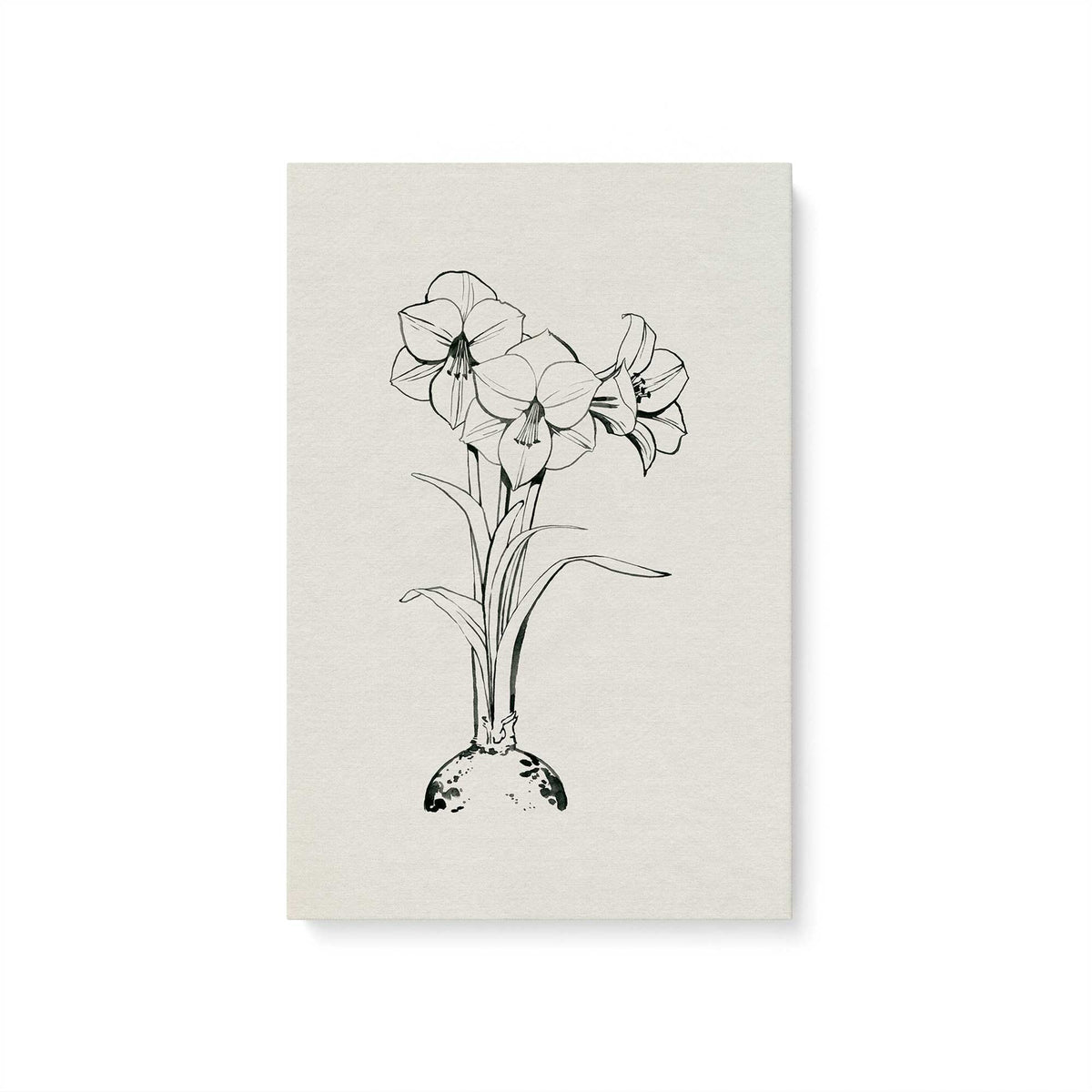 [Color:Stretched Canvas], Picture of art