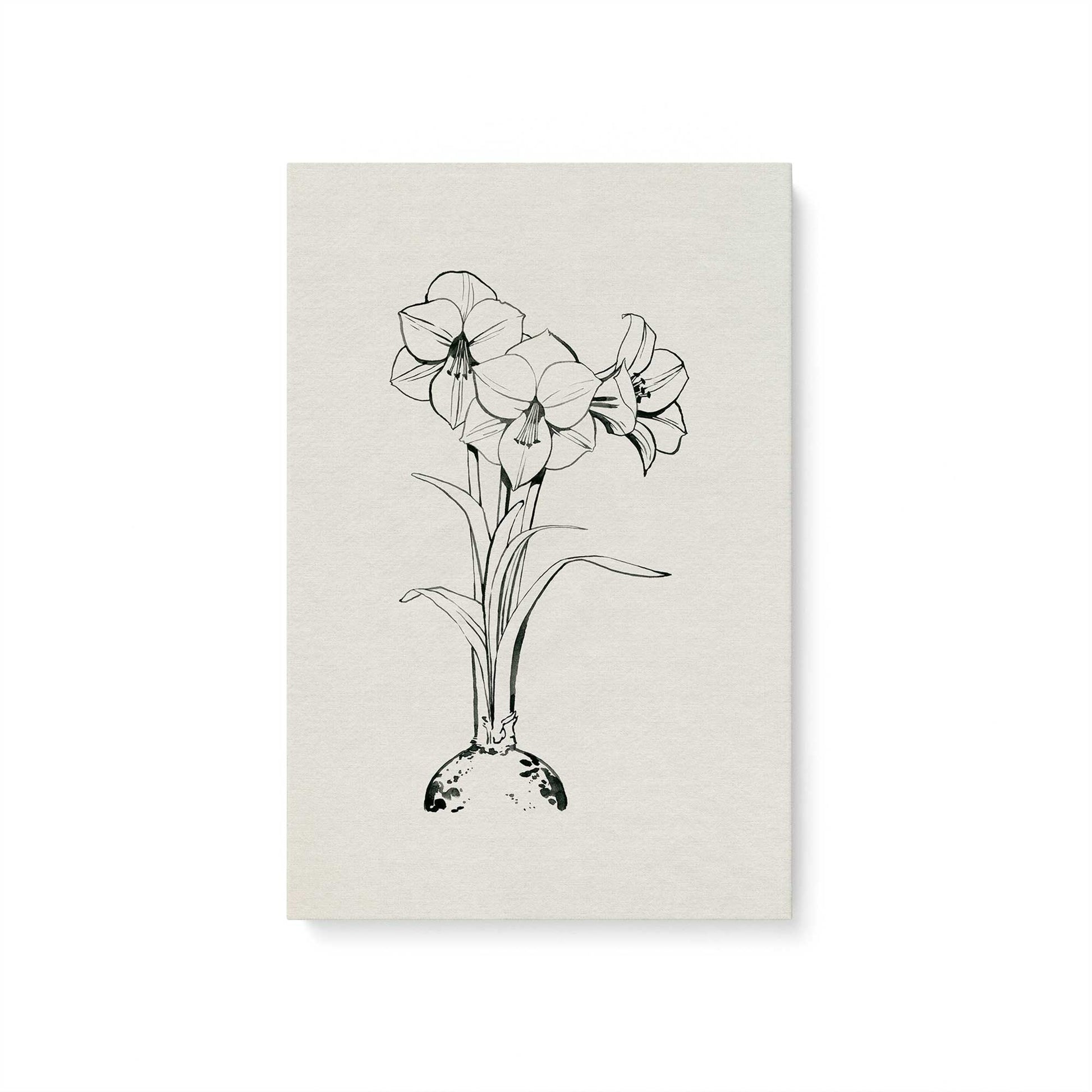 [Color:Stretched Canvas], Picture of art