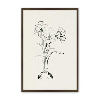 [Color:Brown], Picture of art in a Brown frame