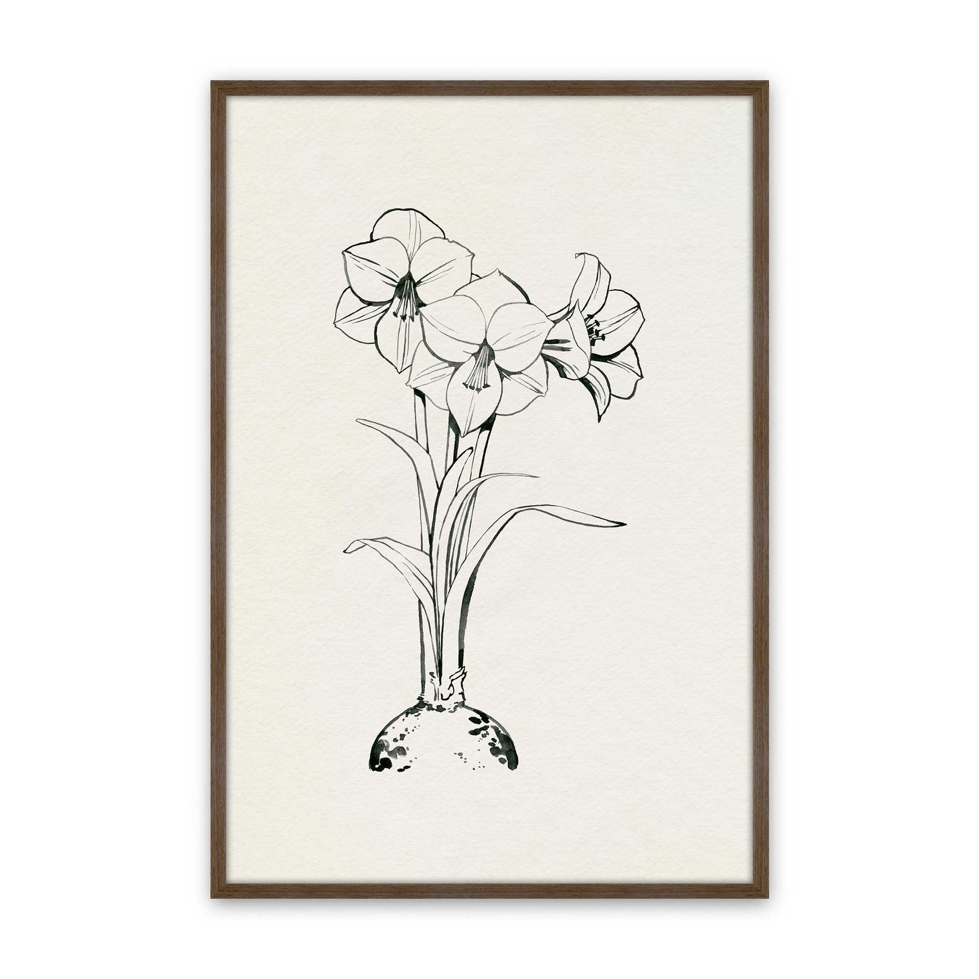 [Color:Walnut], Picture of art in a Walnut frame