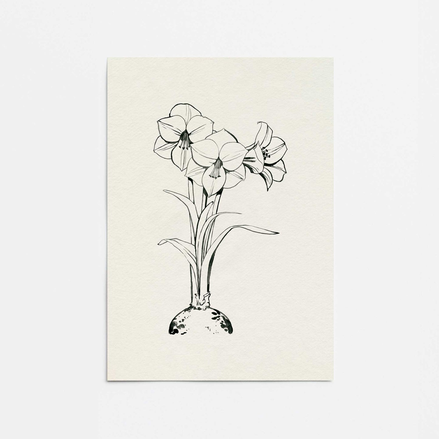 [Color:Rolled Print], Picture of close up of art