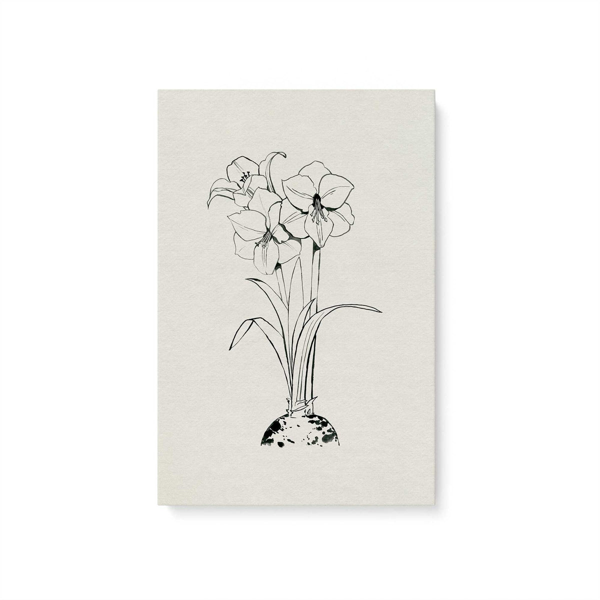 [Color:Stretched Canvas], Picture of art