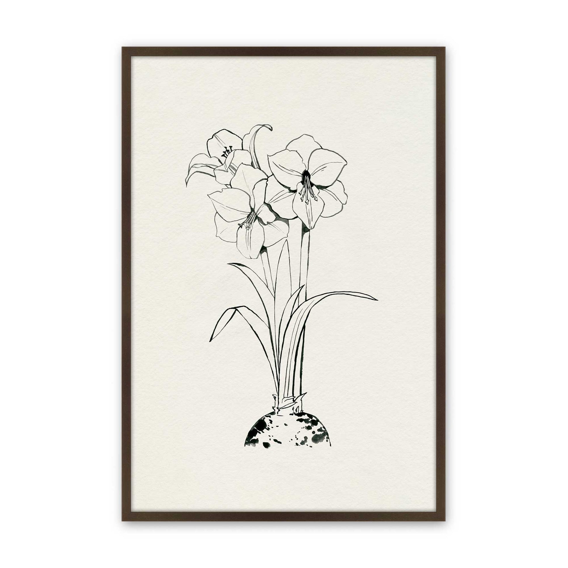 [Color:Brown], Picture of art in a Brown frame