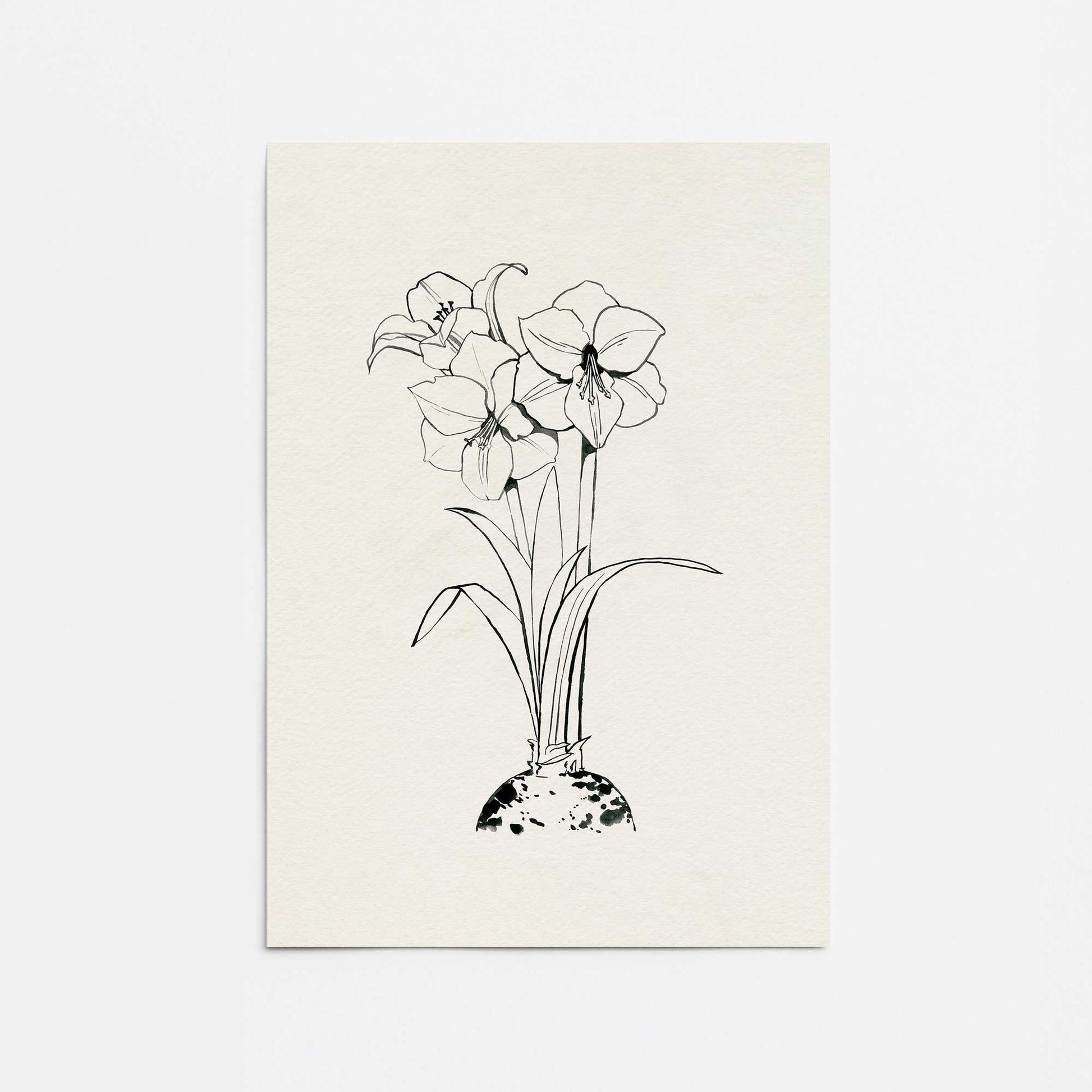 [Color:Rolled Print], Picture of close up of art