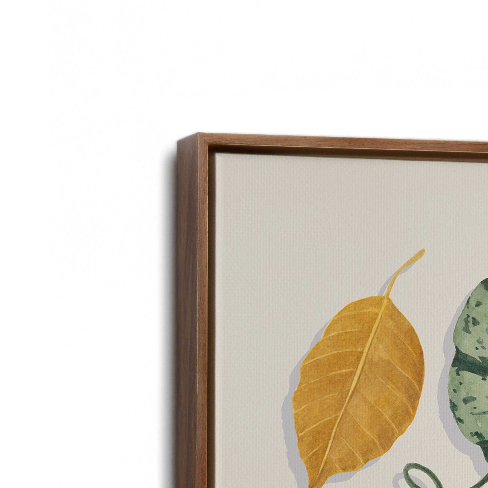 [Color:Walnut], Picture of art in a Walnut frame at an angle