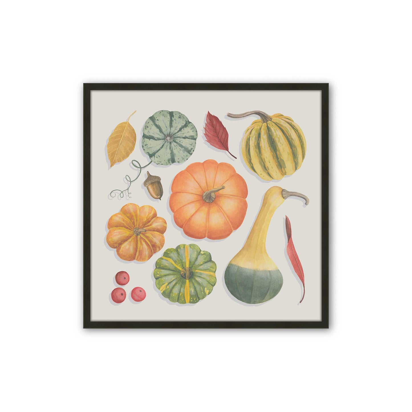 [SPECIAL],[Color:Satin Black],