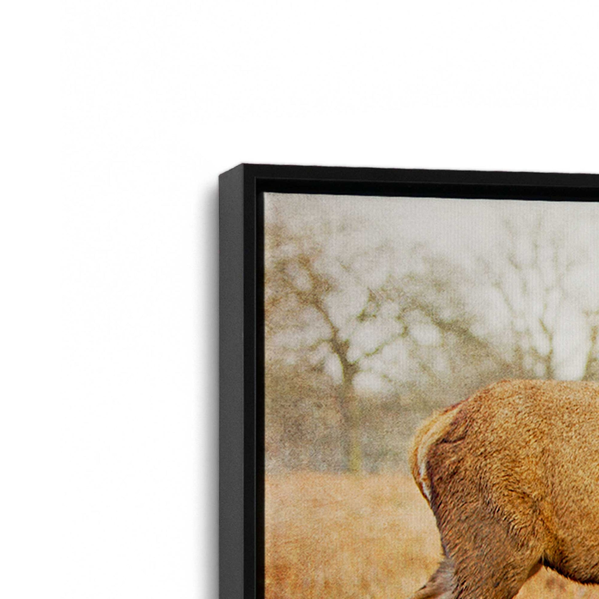 [Color:Satin Black], Picture of art in a Satin Black frame at an angle