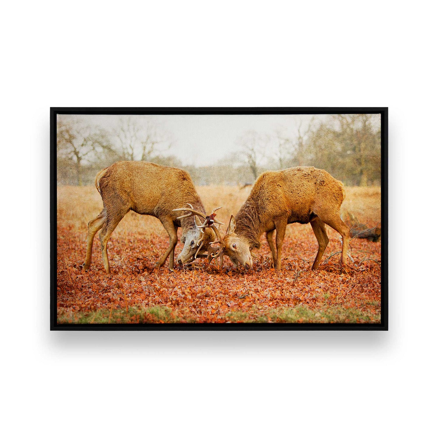 [Color:Satin Black], Picture of art in a Satin Black frame