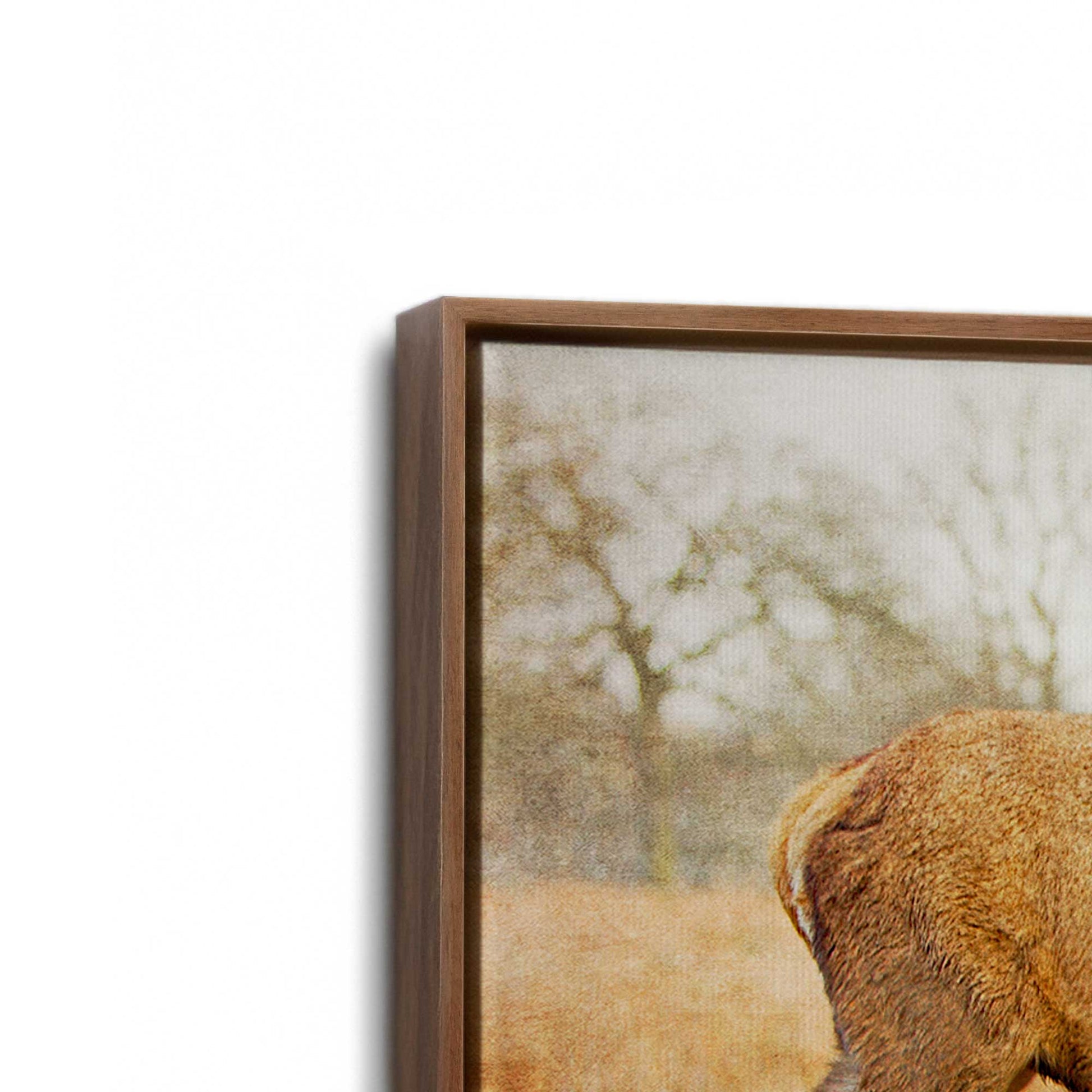 [Color:Walnut], Picture of art in a Walnut frame at an angle