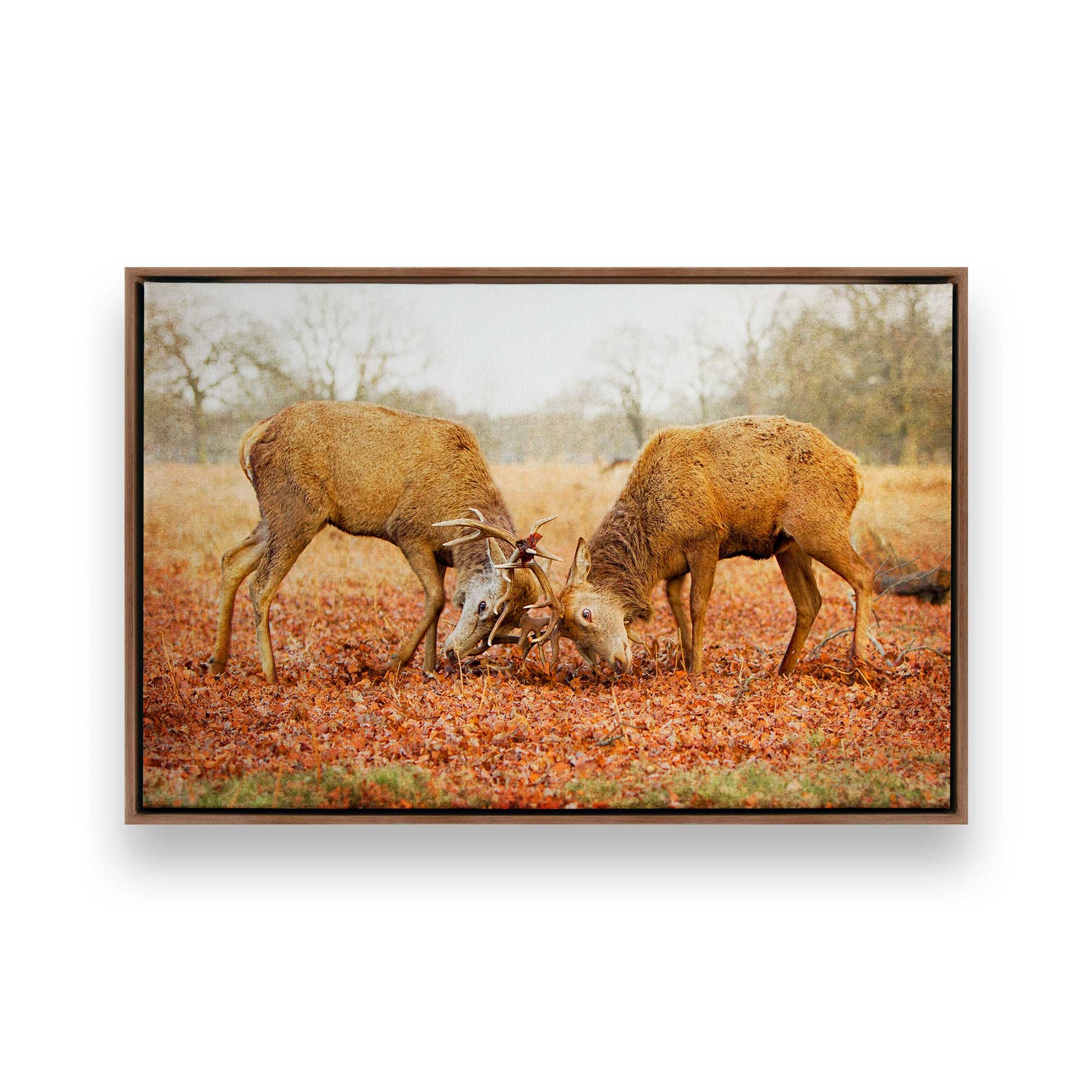 [Color:Walnut], Picture of art in a Walnut frame