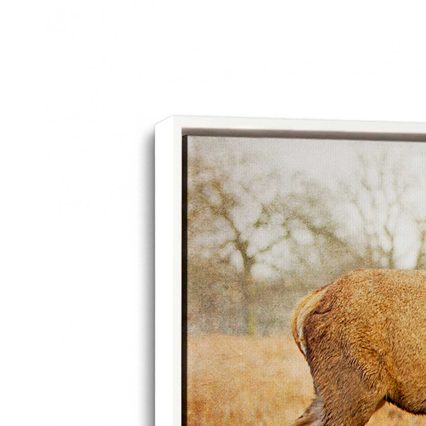 [Color:Opaque White], Picture of art in a White frame at an angle