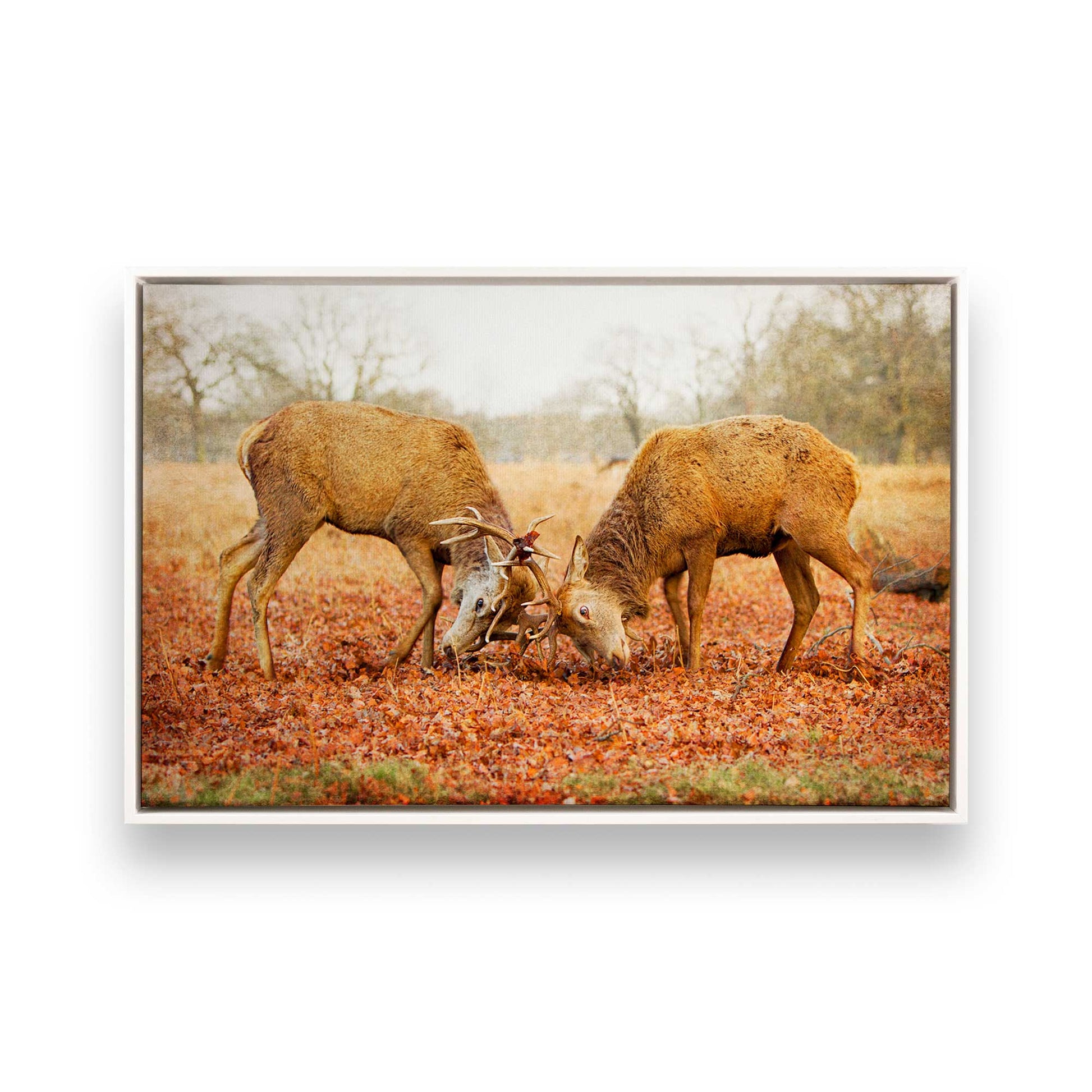 [Color:Opaque White], Picture of art in a White frame