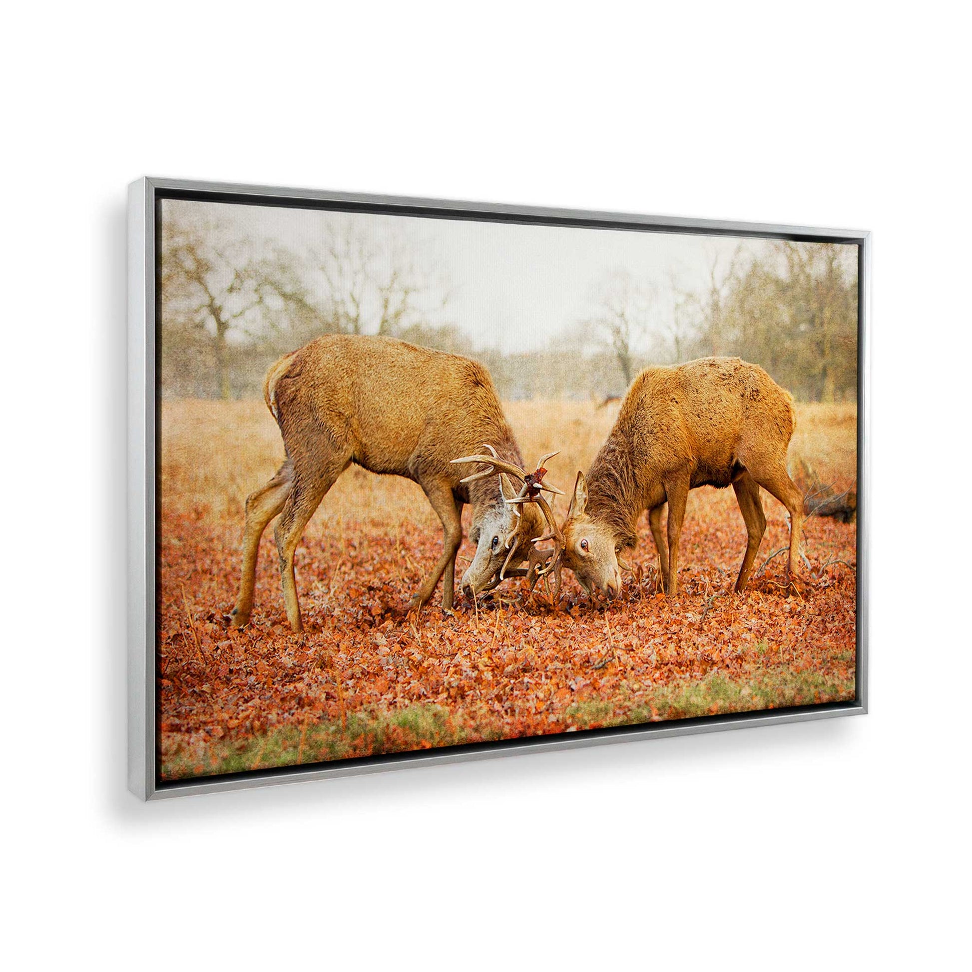 [Color:Polished Chrome], Picture of the corner of the art