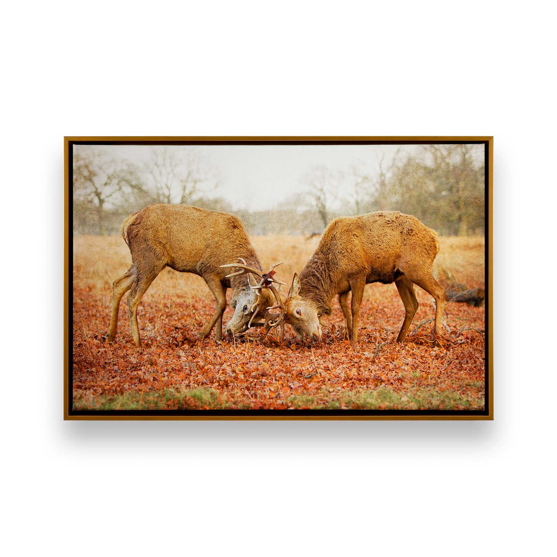 [Color:Polished Gold], Picture of art in a Polished Gold frame