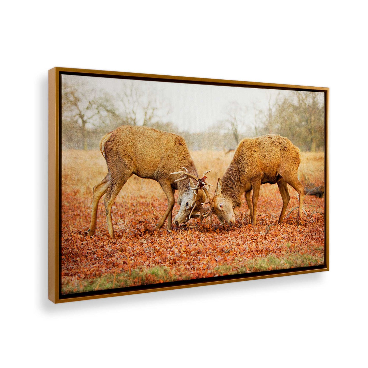 [Color:Polished Gold], Picture of the corner of the art