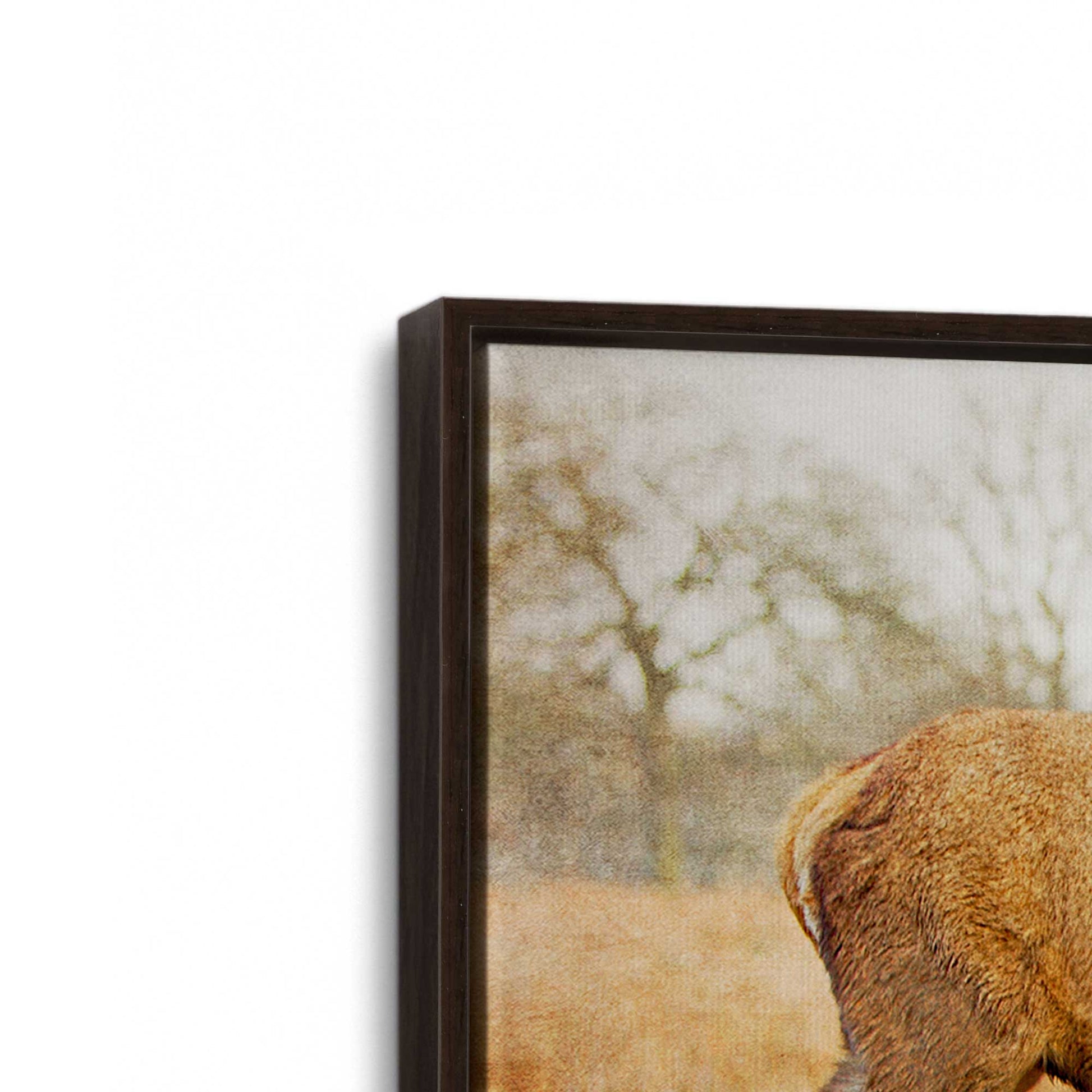 [Color:Espresso], Picture of art in a Espresso frame at an angle