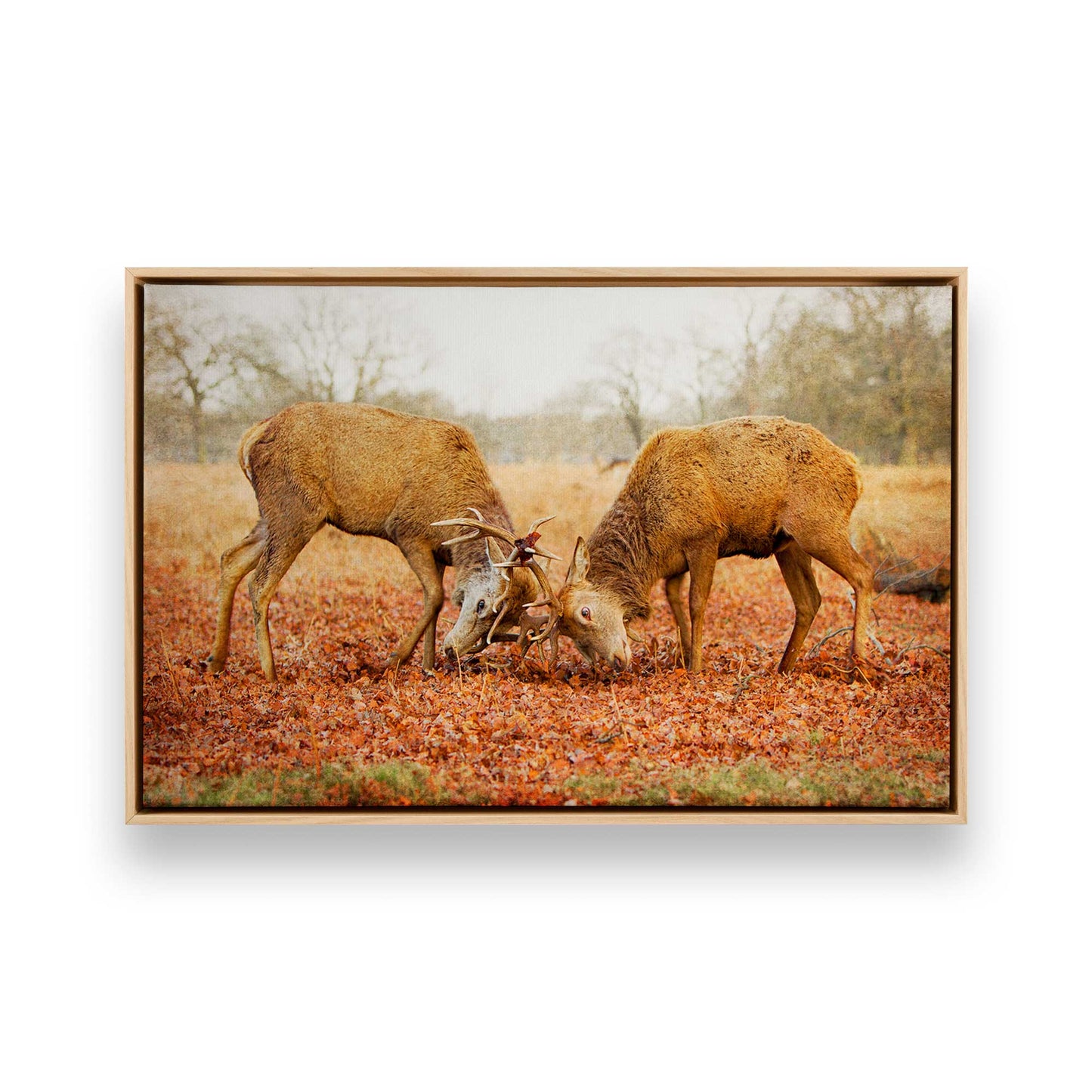 [Color:American Maple], Picture of art in a American Maple frame