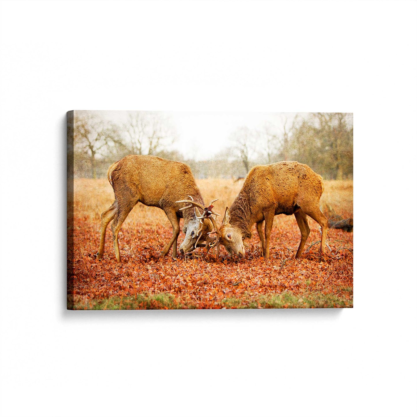 [Color:Stretched Canvas], Picture of art at an angle