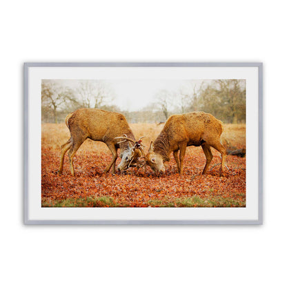 [Color:Polished Chrome], Picture of art in a Polished Chrome frame