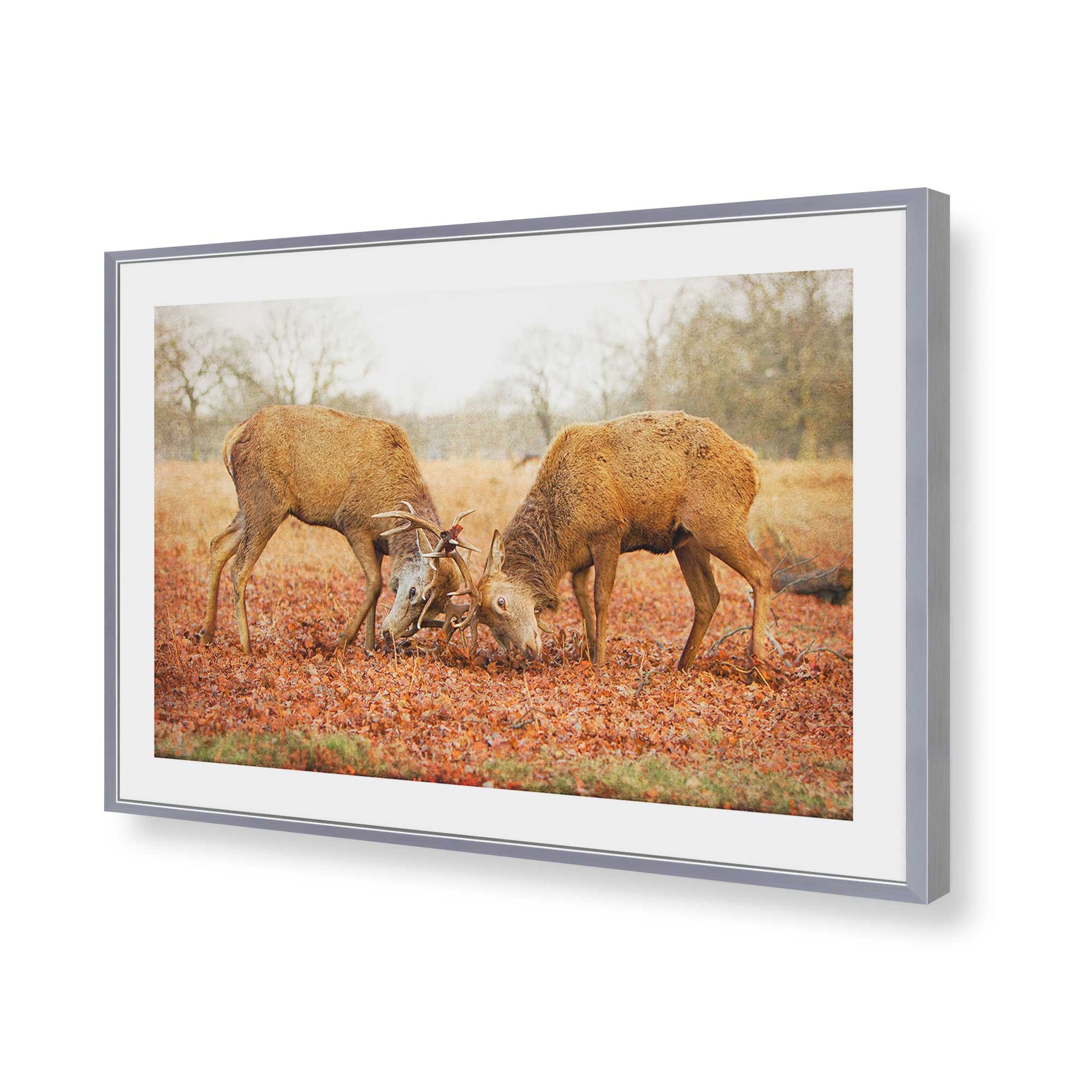 [Color:Polished Chrome], Picture of art in a Polished Chrome frame of the corner