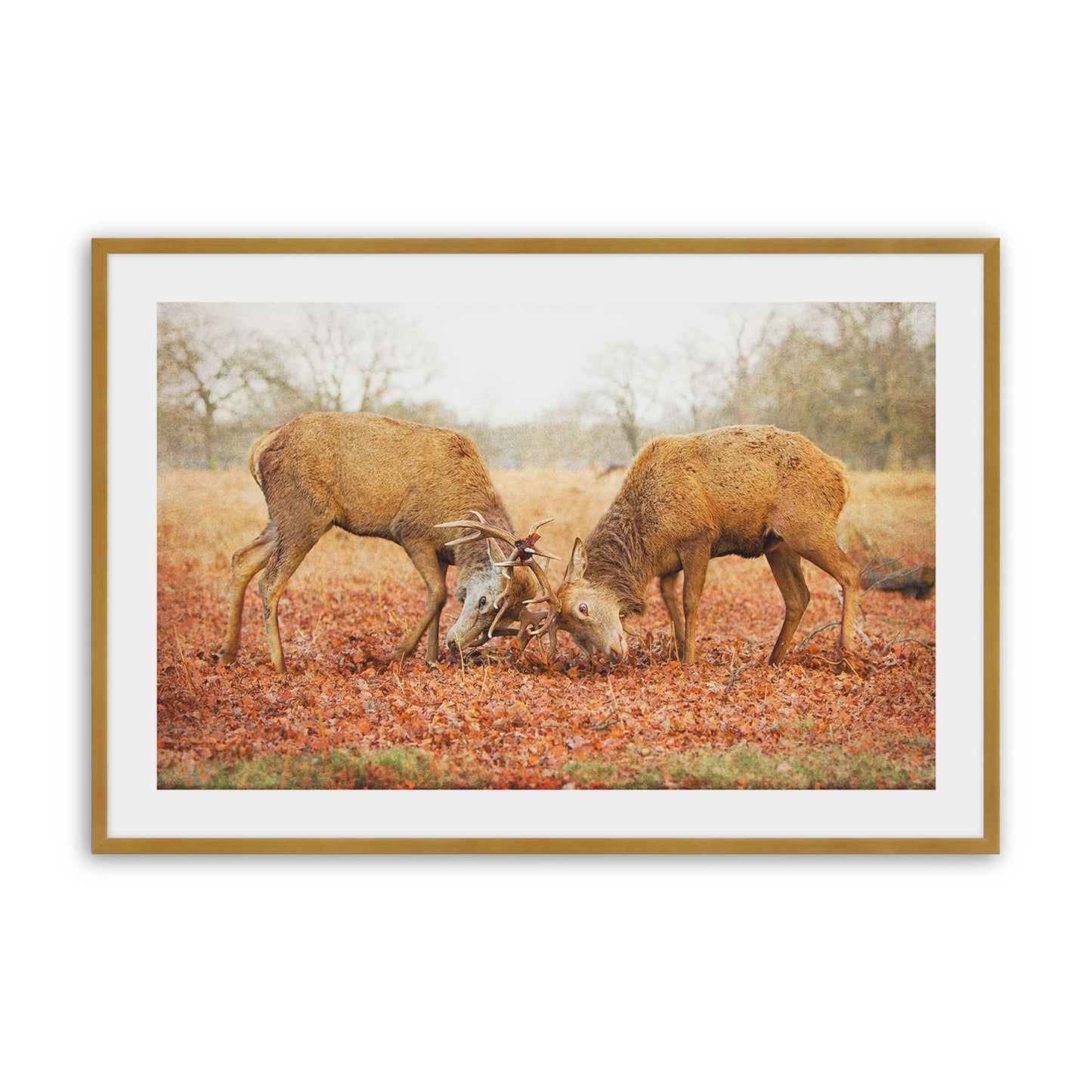 [Color:Polished Gold], Picture of art in a Polished Gold frame