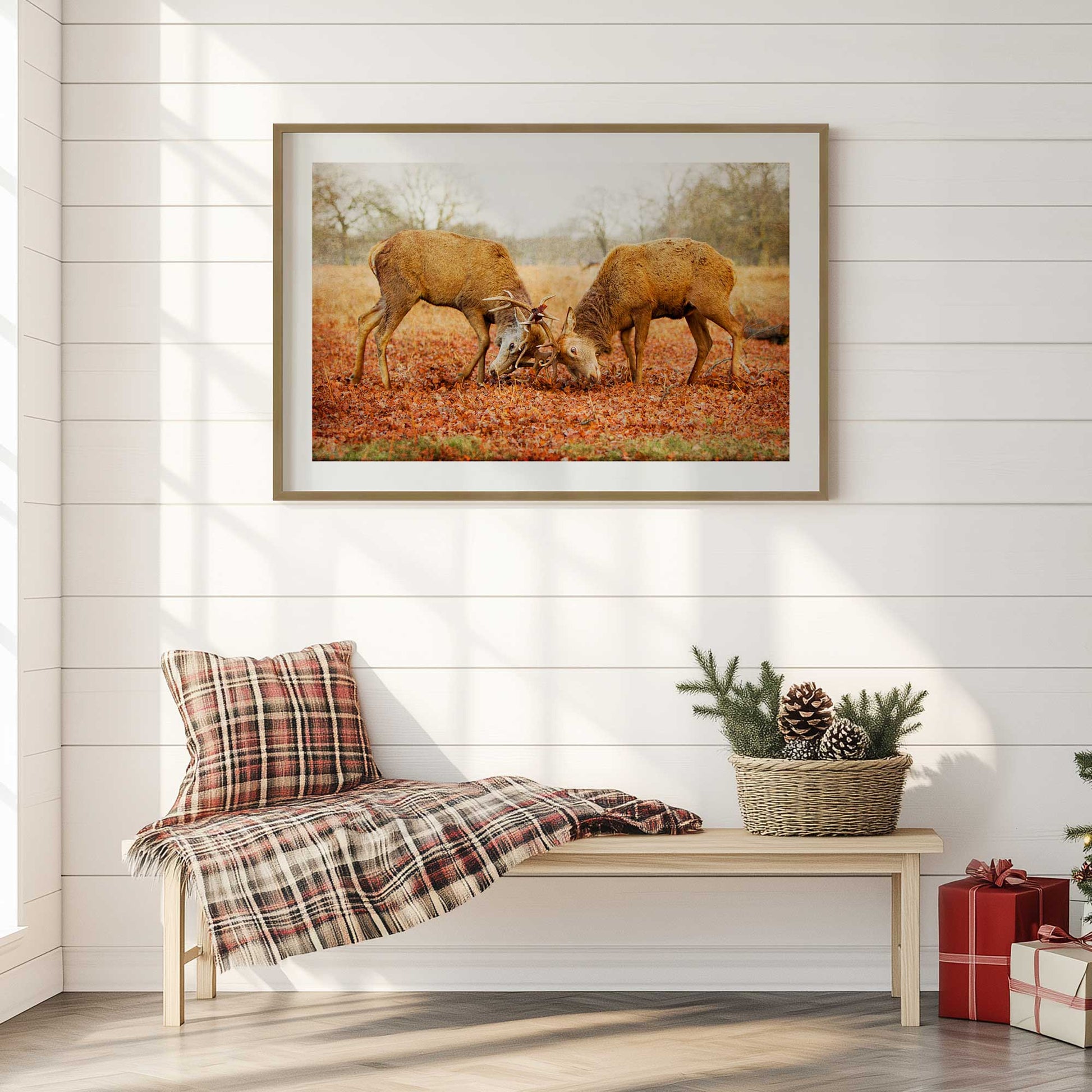 [LIFESTYLE],[SPECIAL],  Picture of art in a roo