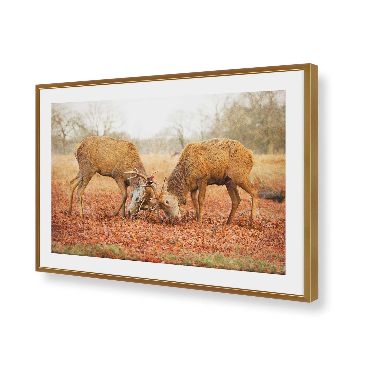 [Color:Polished Gold], Picture of art in a Polished Gold frame of the corner