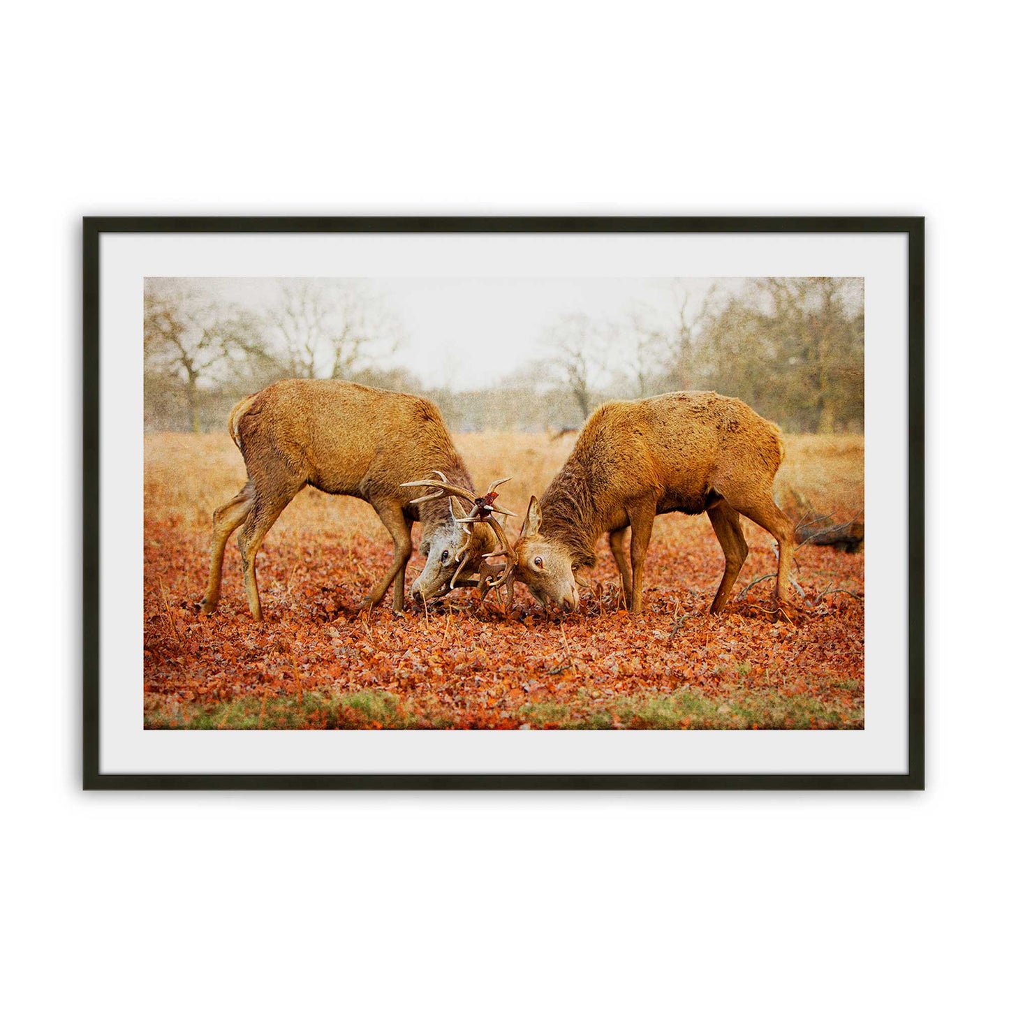 [Color:Satin Black], Picture of art in a Satin Black frame