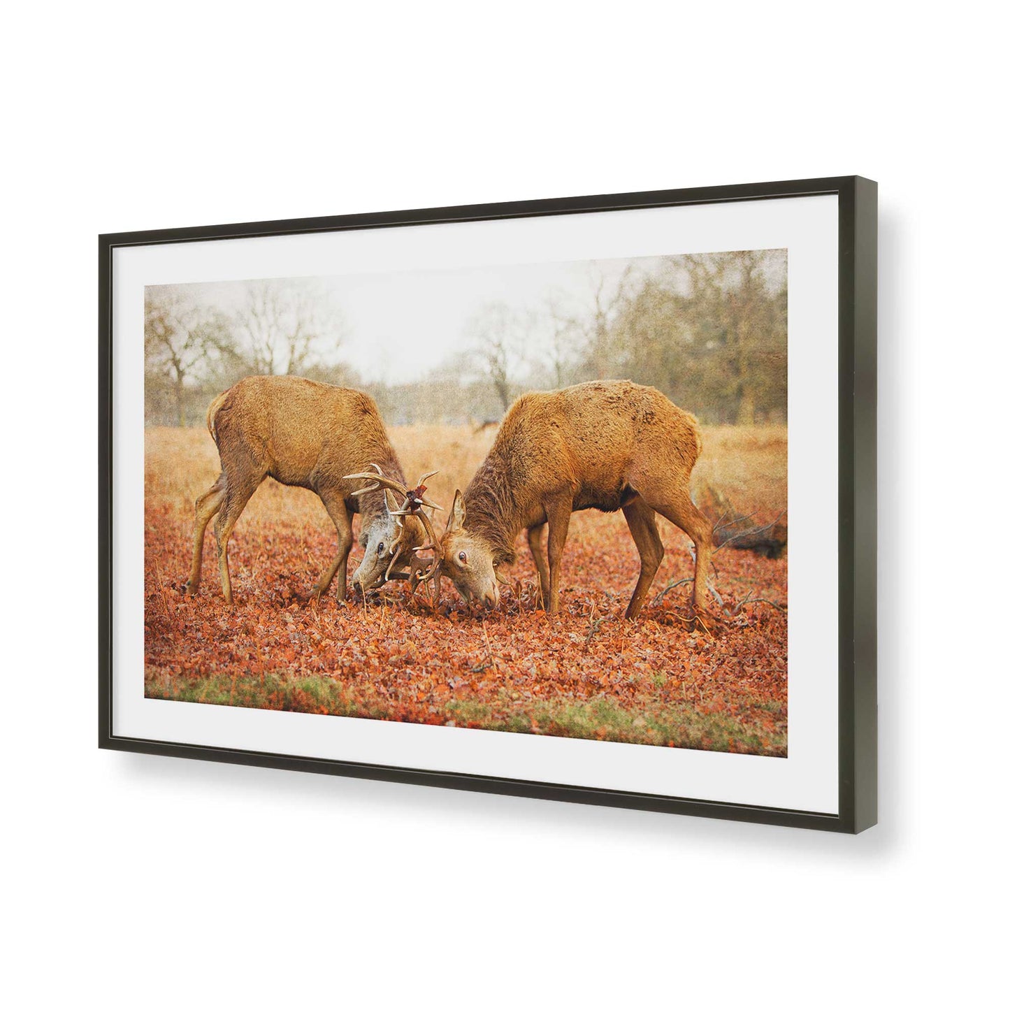 [Color:Satin Black], Picture of art in a Satin Black frame of the corner